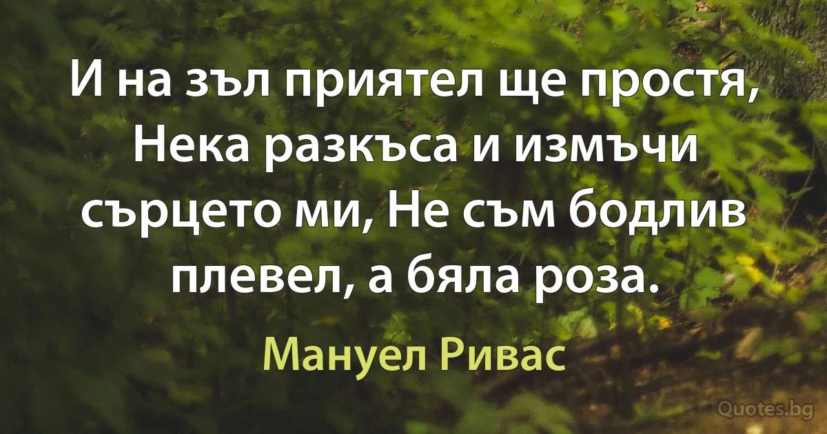 И на зъл приятел ще простя, Нека разкъса и измъчи сърцето ми, Не съм бодлив плевел, а бяла роза. (Мануел Ривас)