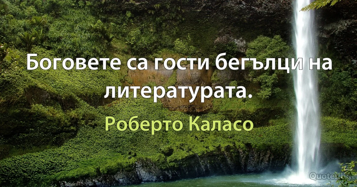 Боговете са гости бегълци на литературата. (Роберто Каласо)