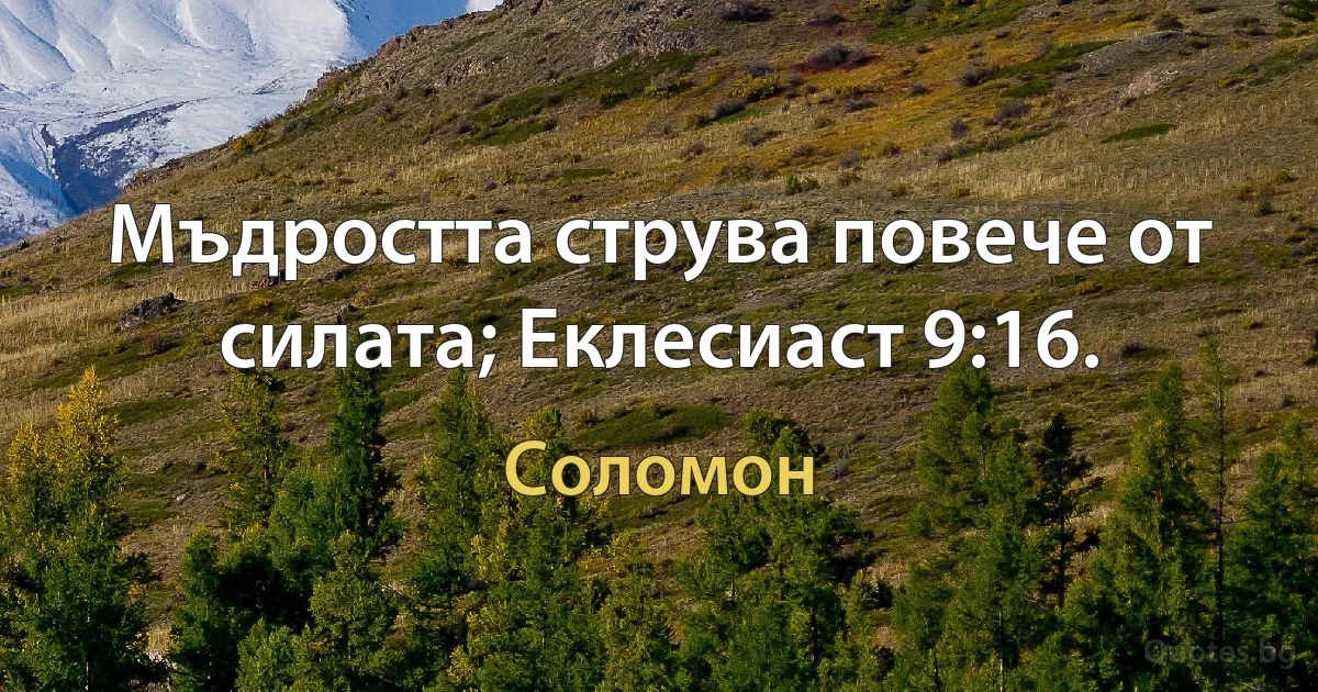 Мъдростта струва повече от силата; Еклесиаст 9:16. (Соломон)