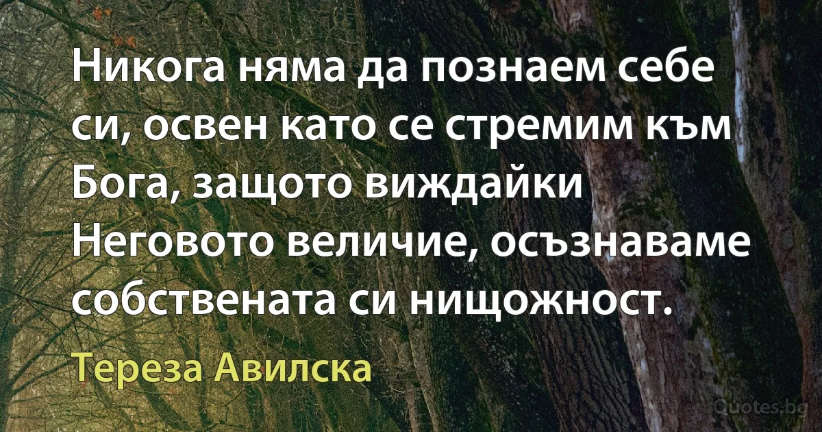 Никога няма да познаем себе си, освен като се стремим към Бога, защото виждайки Неговото величие, осъзнаваме собствената си нищожност. (Тереза Авилска)