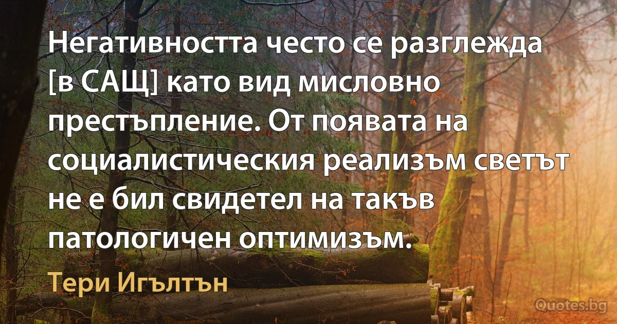 Негативността често се разглежда [в САЩ] като вид мисловно престъпление. От появата на социалистическия реализъм светът не е бил свидетел на такъв патологичен оптимизъм. (Тери Игълтън)