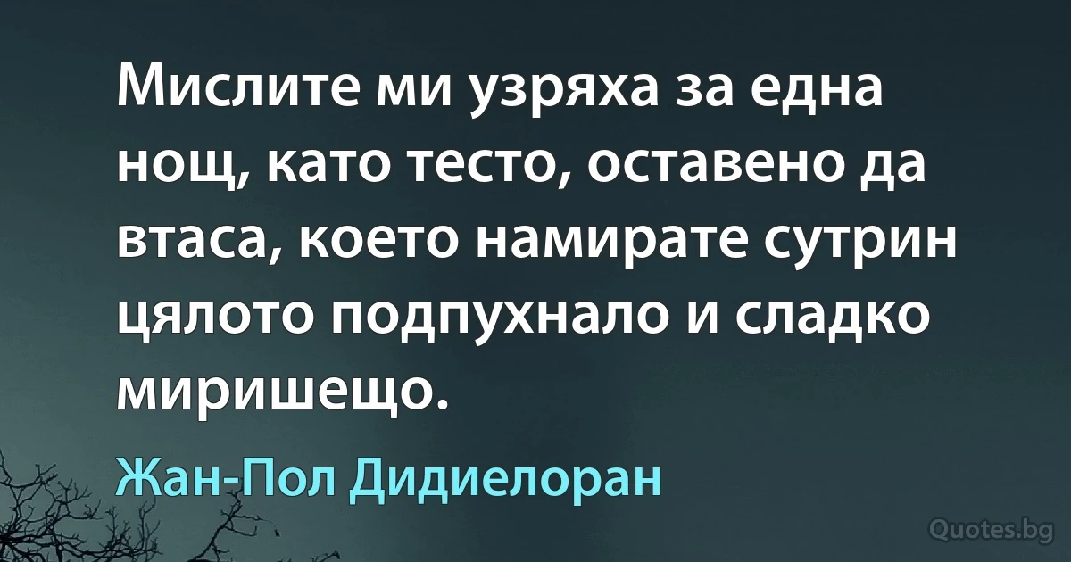 Мислите ми узряха за една нощ, като тесто, оставено да втаса, което намирате сутрин цялото подпухнало и сладко миришещо. (Жан-Пол Дидиелоран)