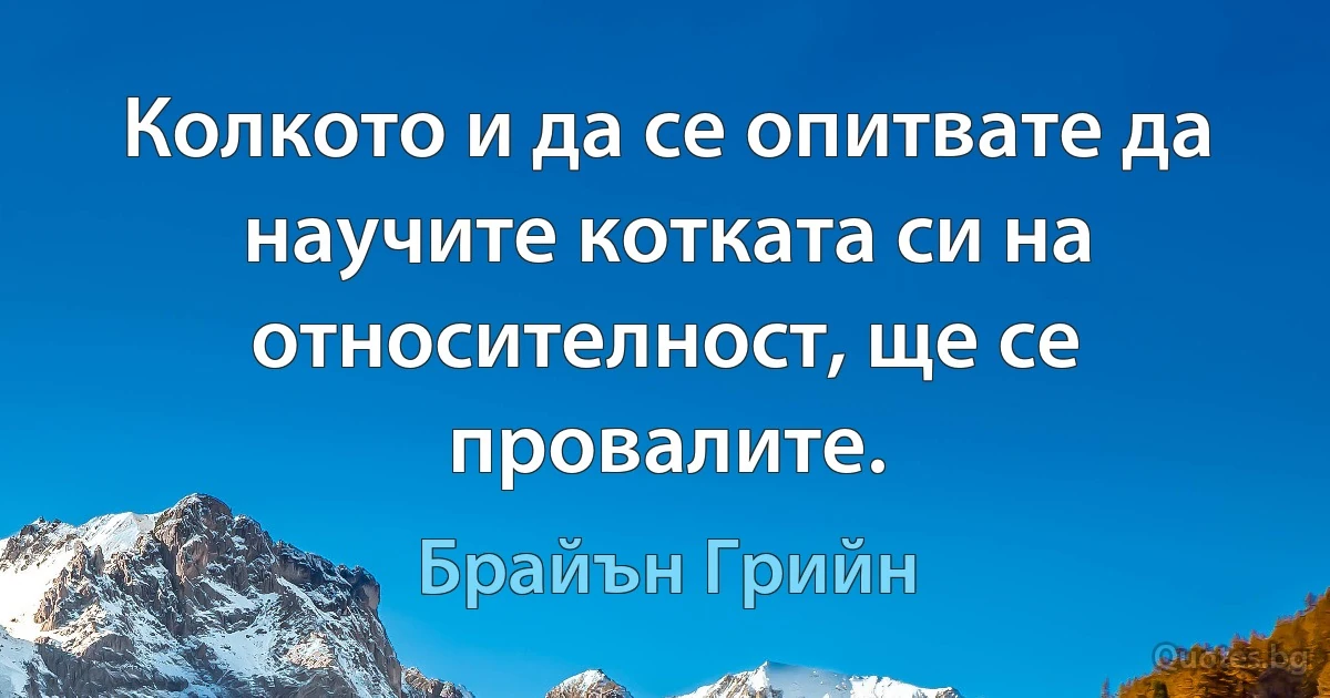 Колкото и да се опитвате да научите котката си на относителност, ще се провалите. (Брайън Грийн)