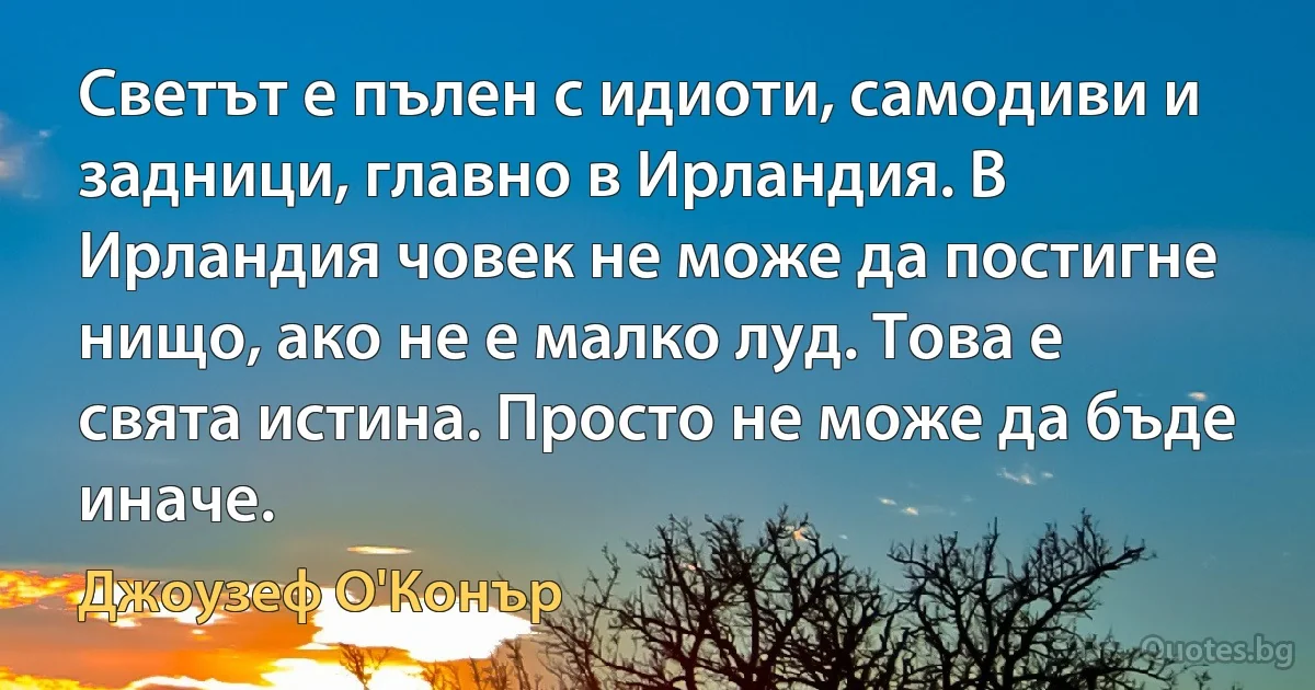 Светът е пълен с идиоти, самодиви и задници, главно в Ирландия. В Ирландия човек не може да постигне нищо, ако не е малко луд. Това е свята истина. Просто не може да бъде иначе. (Джоузеф О'Конър)