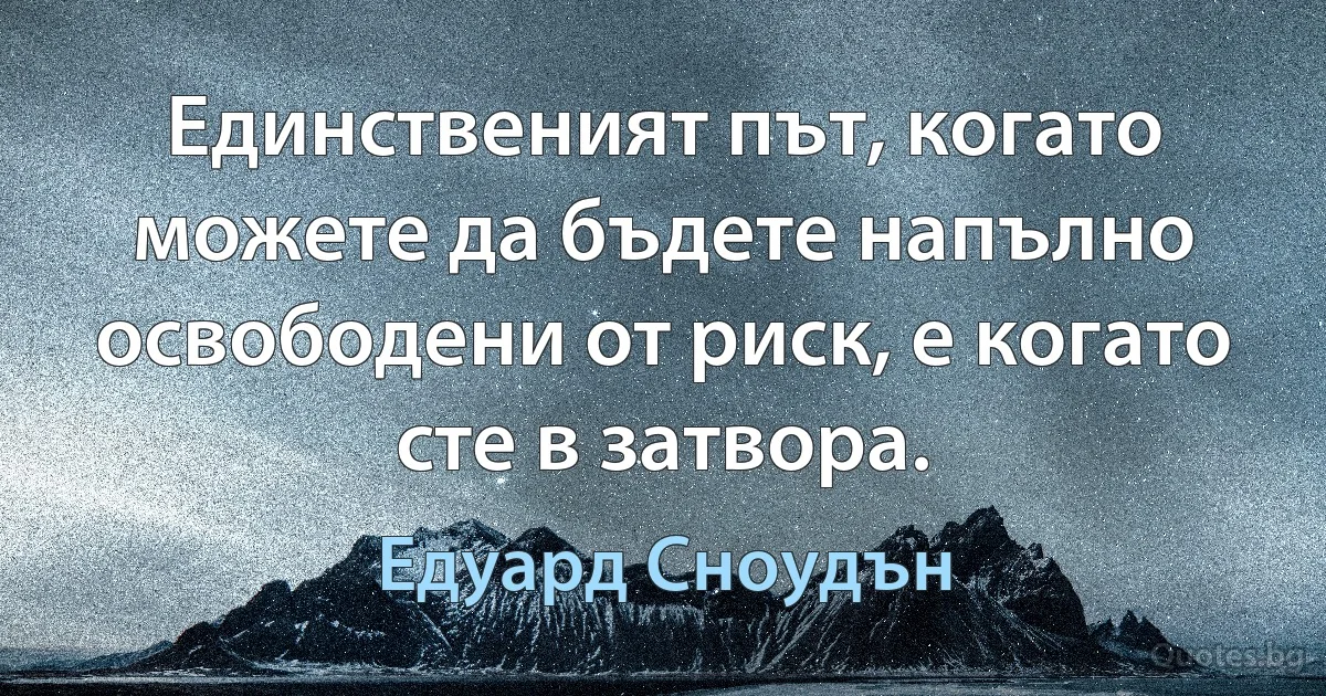 Единственият път, когато можете да бъдете напълно освободени от риск, е когато сте в затвора. (Едуард Сноудън)