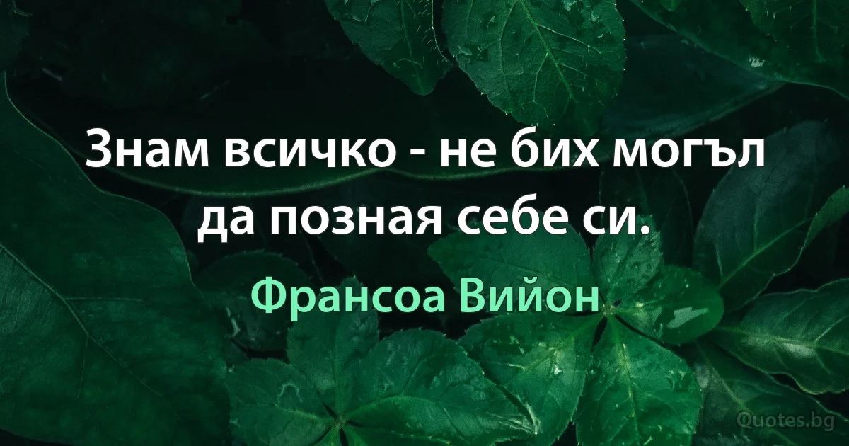 Знам всичко - не бих могъл да позная себе си. (Франсоа Вийон)