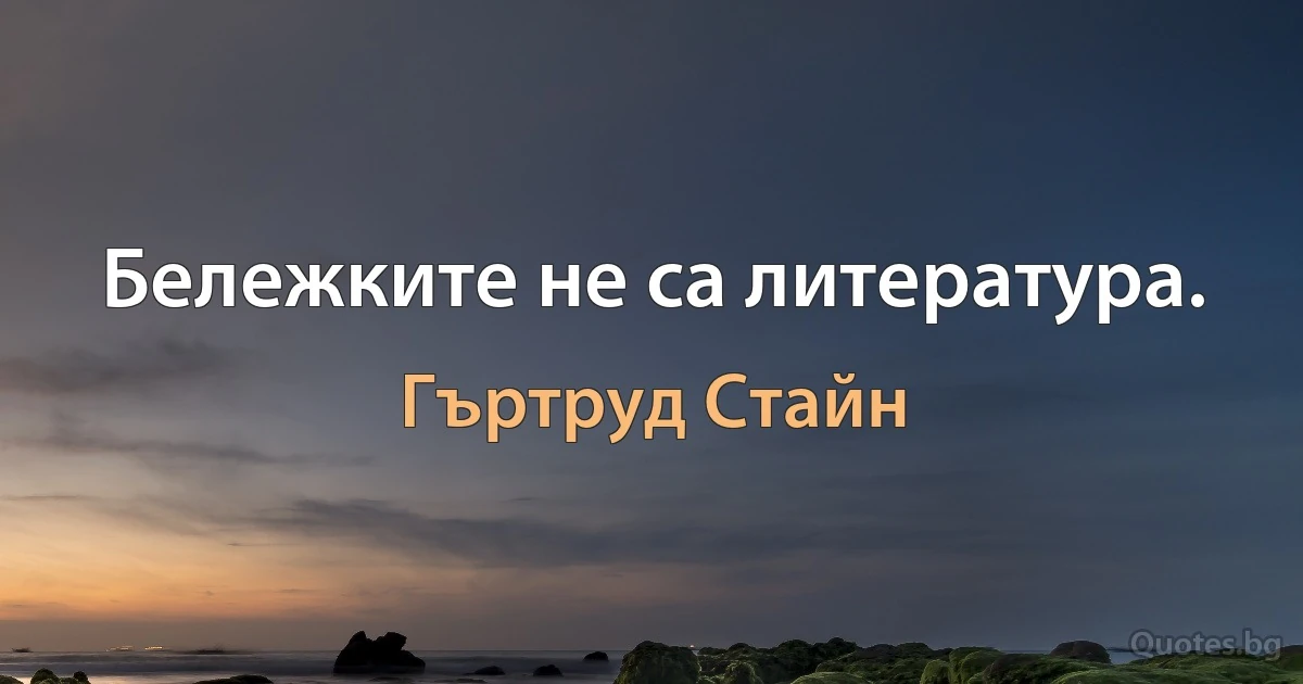 Бележките не са литература. (Гъртруд Стайн)