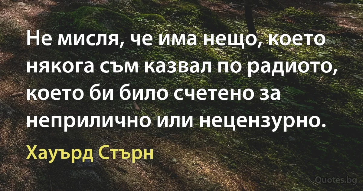 Не мисля, че има нещо, което някога съм казвал по радиото, което би било счетено за неприлично или нецензурно. (Хауърд Стърн)