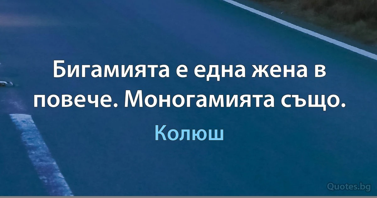 Бигамията е една жена в повече. Моногамията също. (Колюш)