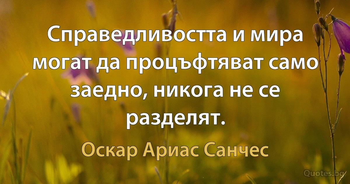 Справедливостта и мира могат да процъфтяват само заедно, никога не се разделят. (Оскар Ариас Санчес)