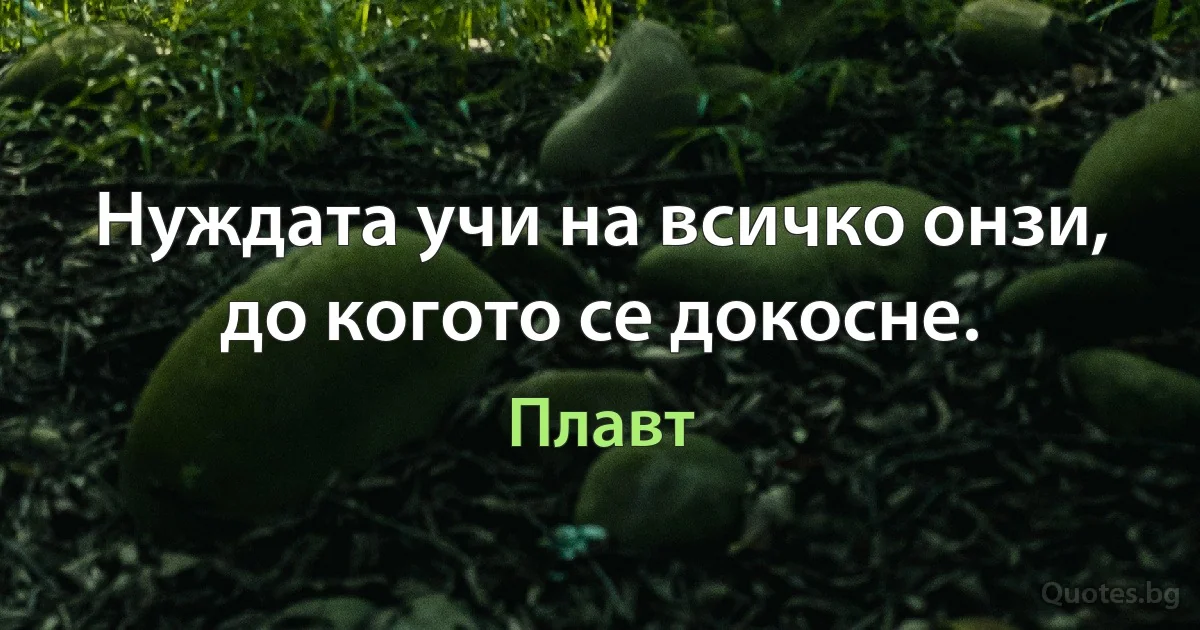 Нуждата учи на всичко онзи, до когото се докосне. (Плавт)