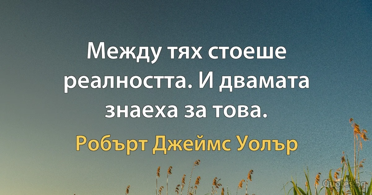 Между тях стоеше реалността. И двамата знаеха за това. (Робърт Джеймс Уолър)