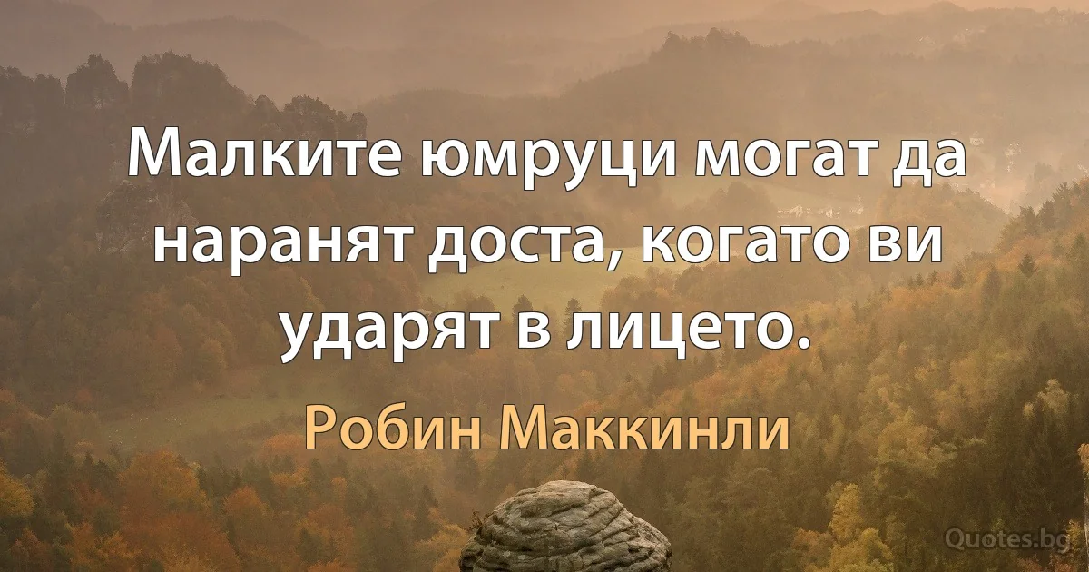 Малките юмруци могат да наранят доста, когато ви ударят в лицето. (Робин Маккинли)