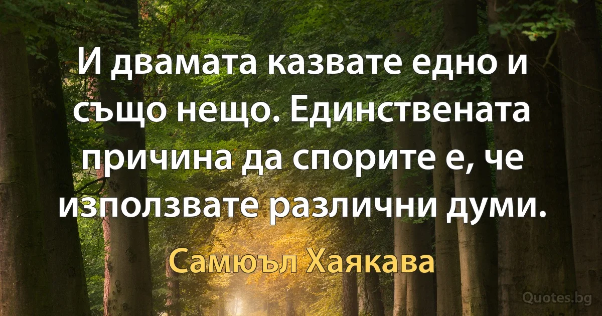 И двамата казвате едно и също нещо. Единствената причина да спорите е, че използвате различни думи. (Самюъл Хаякава)