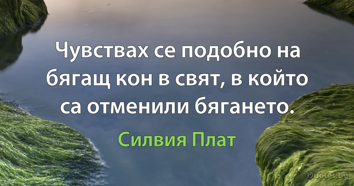 Чувствах се подобно на бягащ кон в свят, в който са отменили бягането. (Силвия Плат)