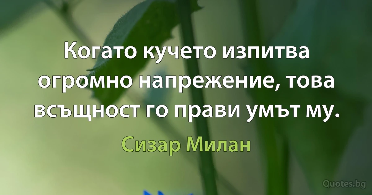 Когато кучето изпитва огромно напрежение, това всъщност го прави умът му. (Сизар Милан)