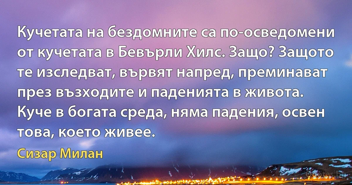 Кучетата на бездомните са по-осведомени от кучетата в Бевърли Хилс. Защо? Защото те изследват, вървят напред, преминават през възходите и паденията в живота. Куче в богата среда, няма падения, освен това, което живее. (Сизар Милан)