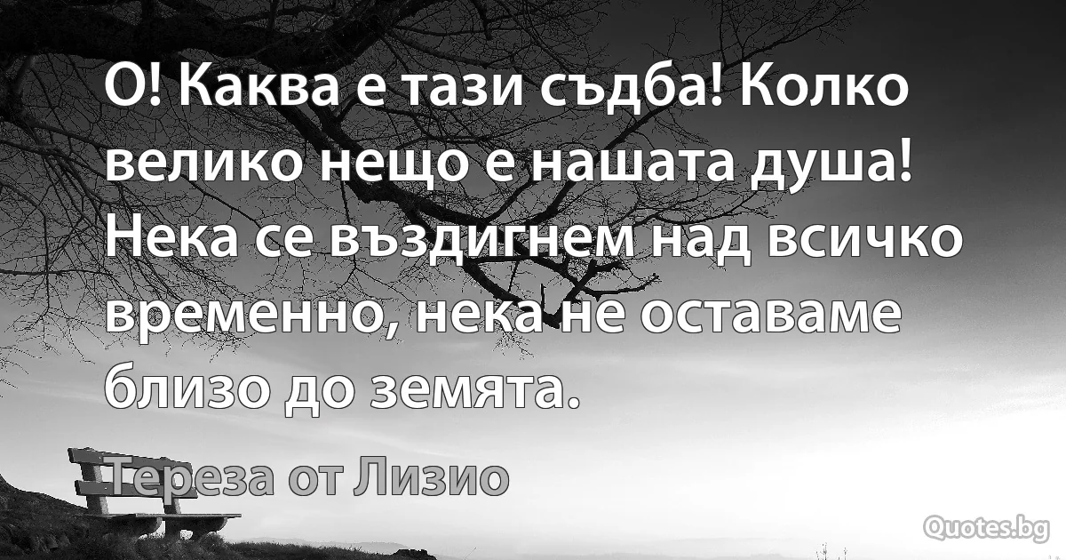 О! Каква е тази съдба! Колко велико нещо е нашата душа! Нека се въздигнем над всичко временно, нека не оставаме близо до земята. (Тереза от Лизио)