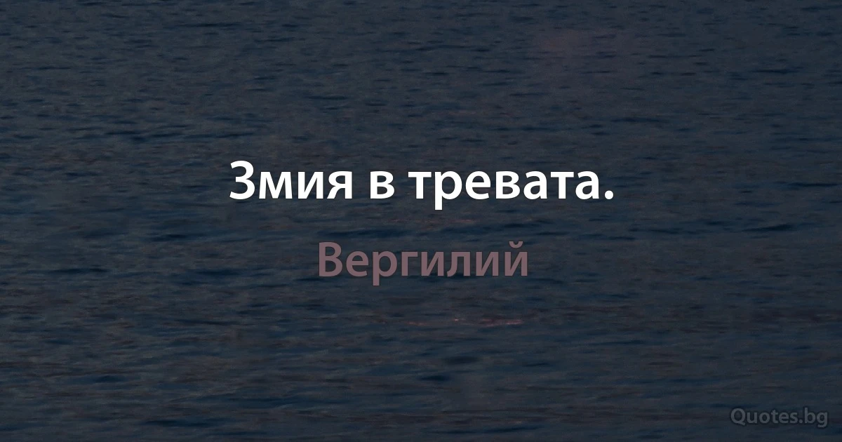 Змия в тревата. (Вергилий)