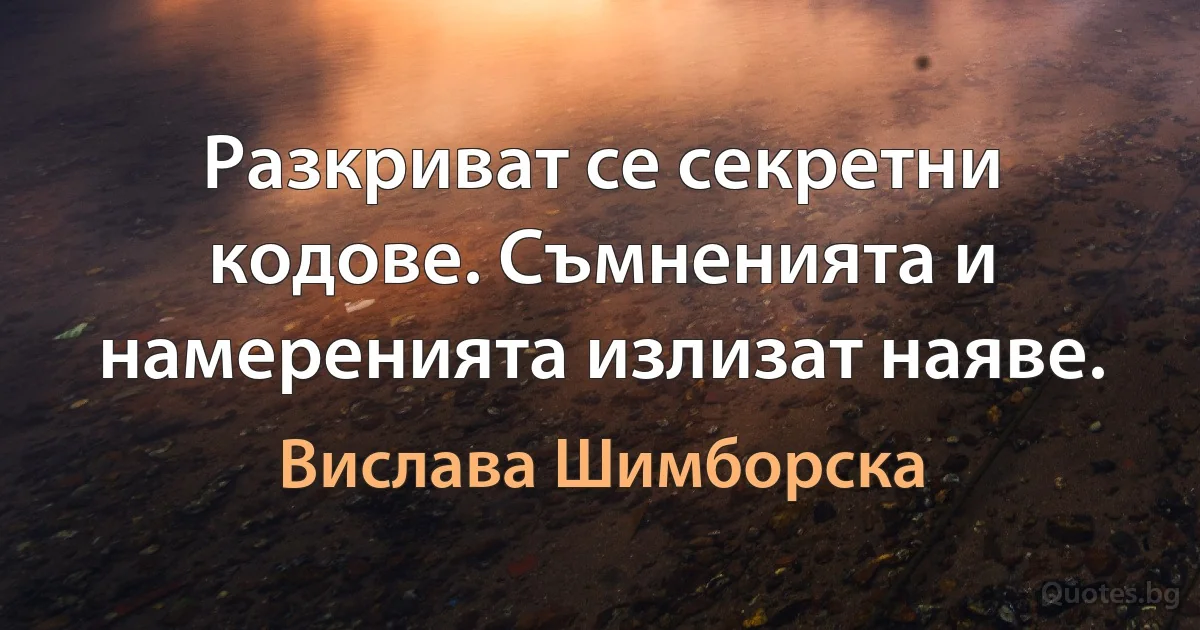 Разкриват се секретни кодове. Съмненията и намеренията излизат наяве. (Вислава Шимборска)