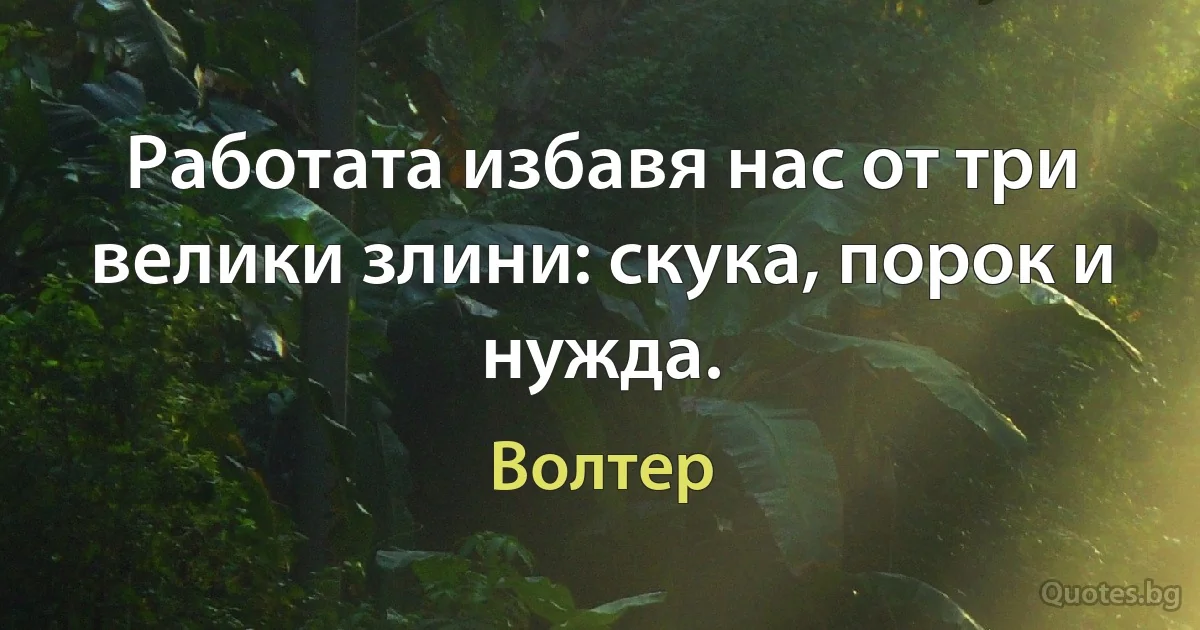 Работата избавя нас от три велики злини: скука, порок и нужда. (Волтер)