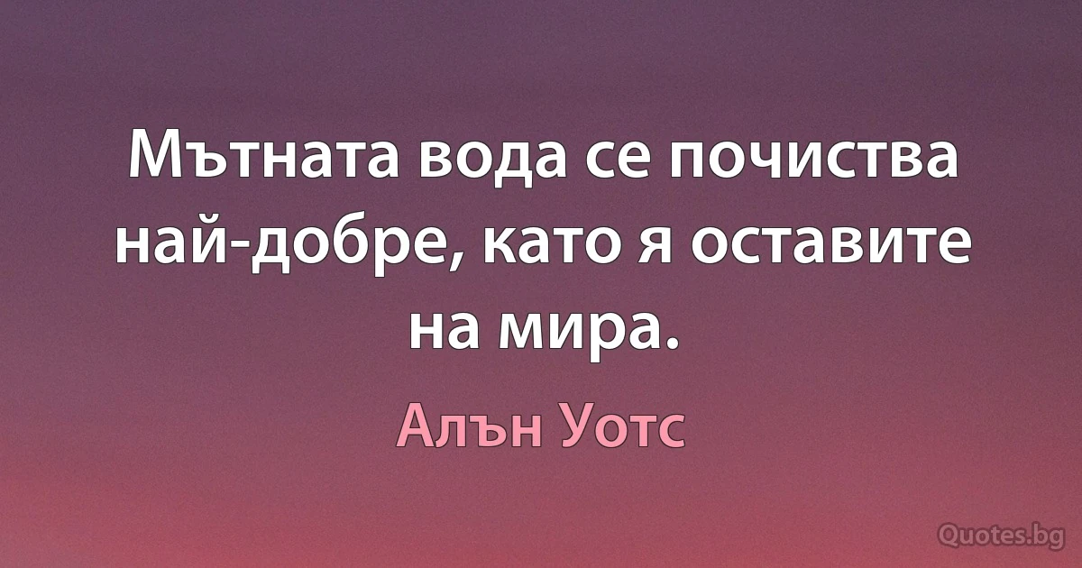 Мътната вода се почиства най-добре, като я оставите на мира. (Алън Уотс)