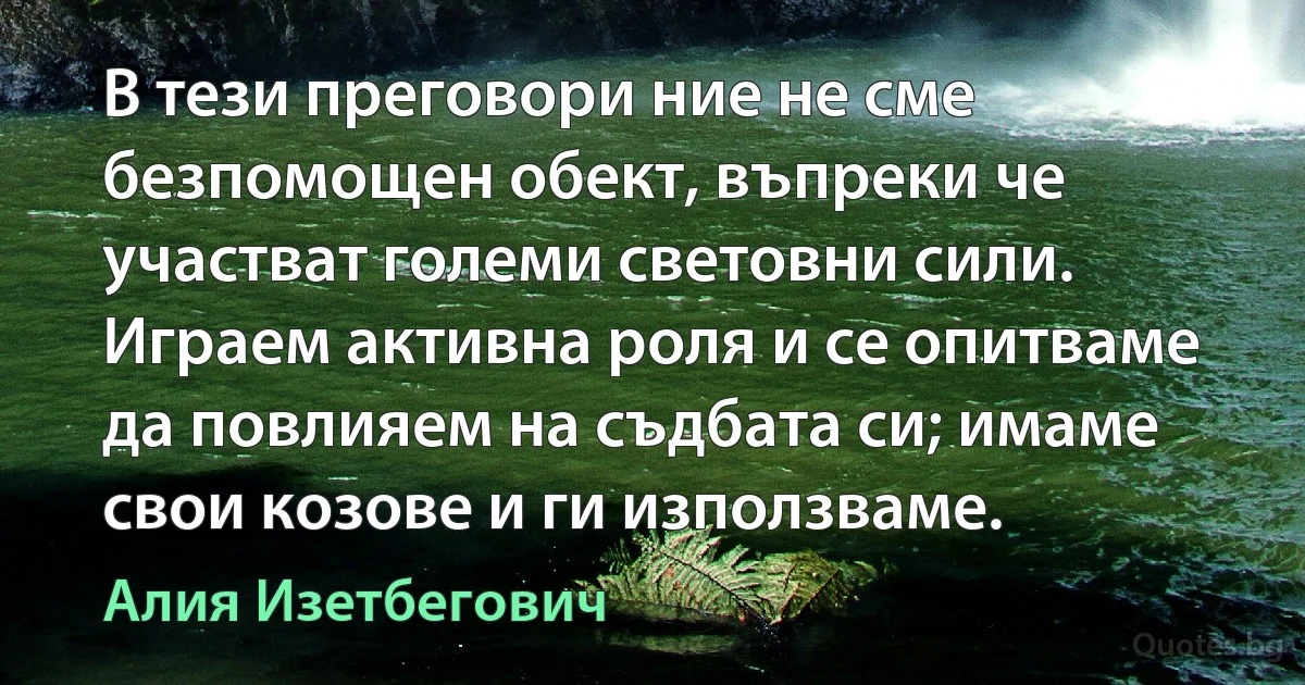 В тези преговори ние не сме безпомощен обект, въпреки че участват големи световни сили. Играем активна роля и се опитваме да повлияем на съдбата си; имаме свои козове и ги използваме. (Алия Изетбегович)