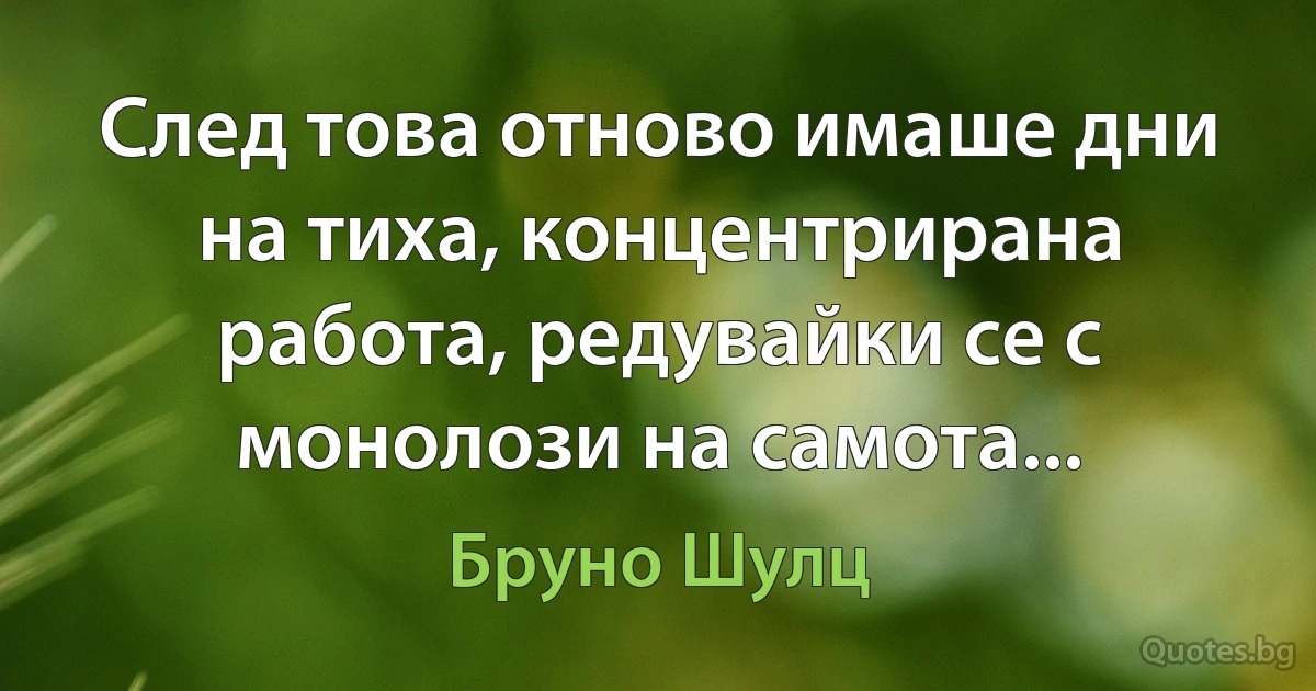 След това отново имаше дни на тиха, концентрирана работа, редувайки се с монолози на самота... (Бруно Шулц)