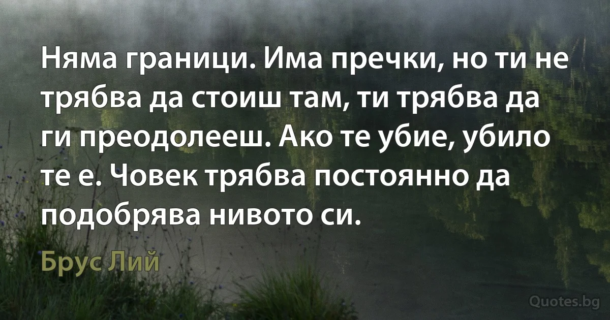 Няма граници. Има пречки, но ти не трябва да стоиш там, ти трябва да ги преодолееш. Ако те убие, убило те е. Човек трябва постоянно да подобрява нивото си. (Брус Лий)