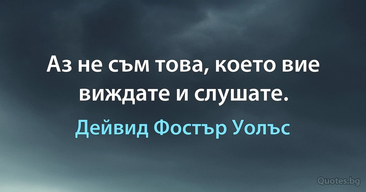 Аз не съм това, което вие виждате и слушате. (Дейвид Фостър Уолъс)