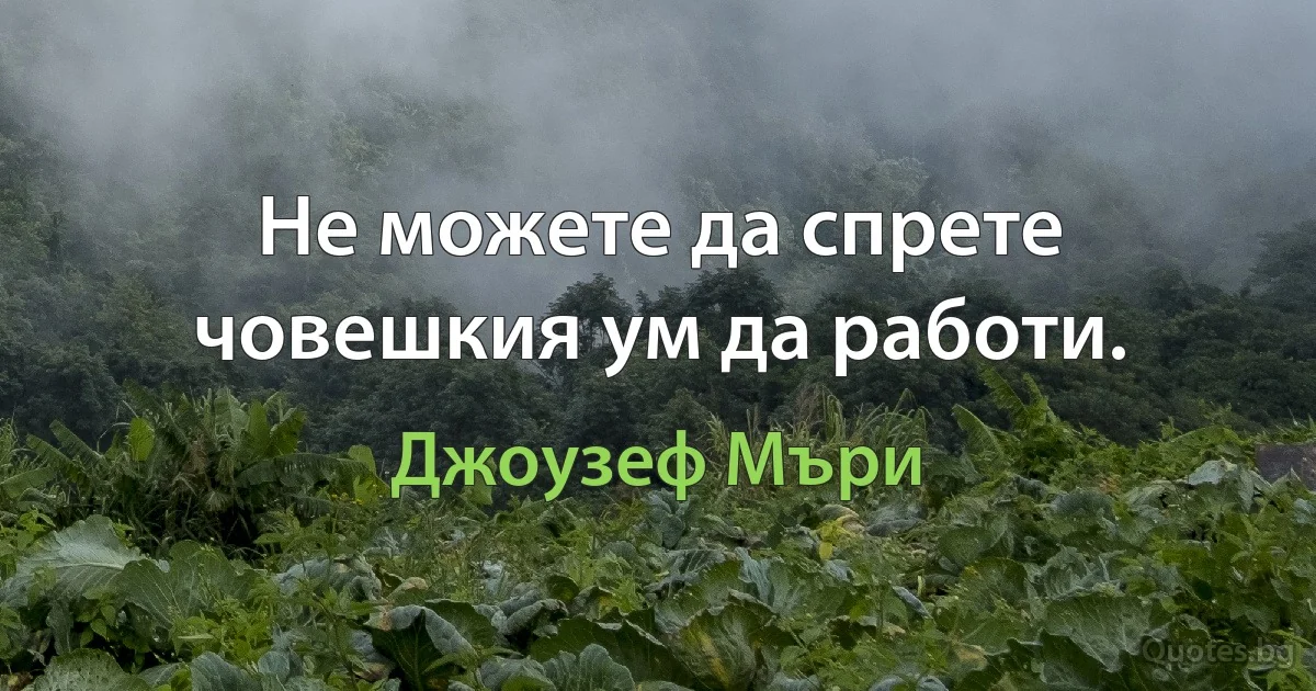 Не можете да спрете човешкия ум да работи. (Джоузеф Мъри)