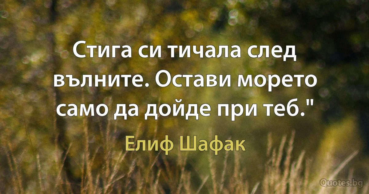 Стига си тичала след вълните. Остави морето само да дойде при теб." (Елиф Шафак)