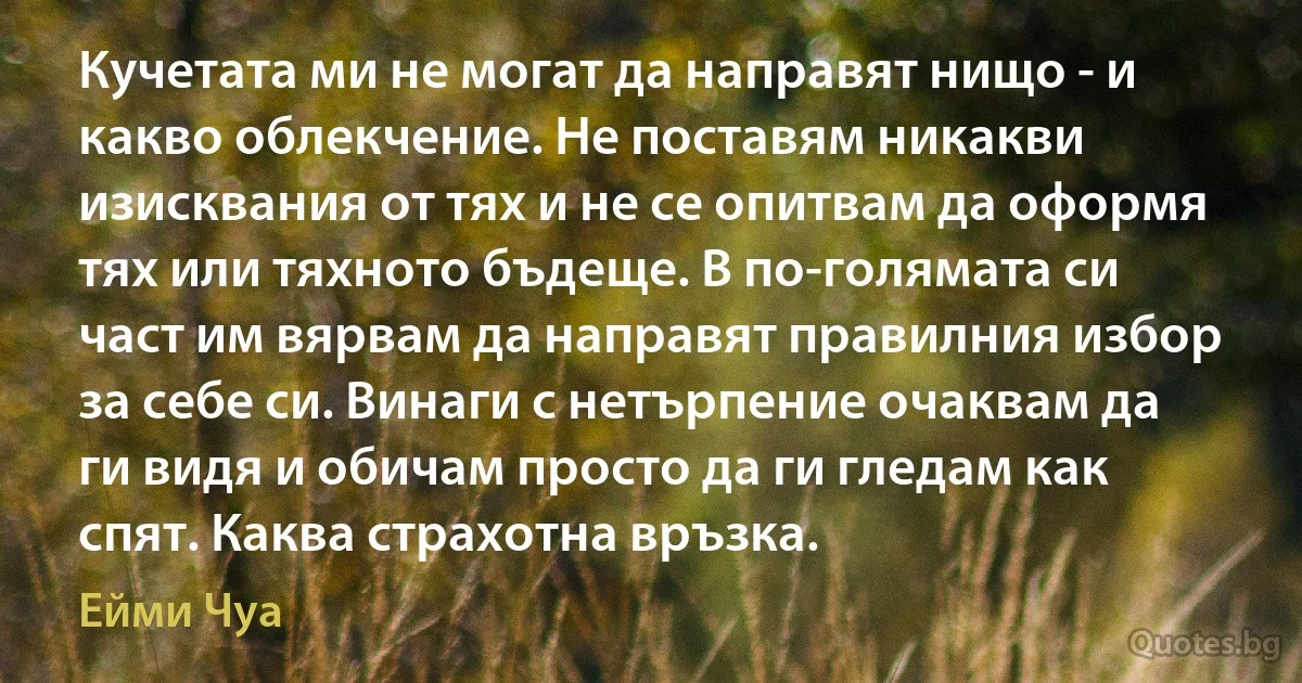 Кучетата ми не могат да направят нищо - и какво облекчение. Не поставям никакви изисквания от тях и не се опитвам да оформя тях или тяхното бъдеще. В по-голямата си част им вярвам да направят правилния избор за себе си. Винаги с нетърпение очаквам да ги видя и обичам просто да ги гледам как спят. Каква страхотна връзка. (Ейми Чуа)