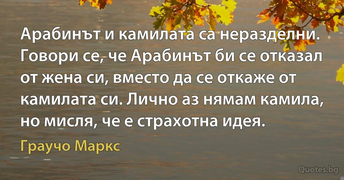 Арабинът и камилата са неразделни. Говори се, че Арабинът би се отказал от жена си, вместо да се откаже от камилата си. Лично аз нямам камила, но мисля, че е страхотна идея. (Граучо Маркс)