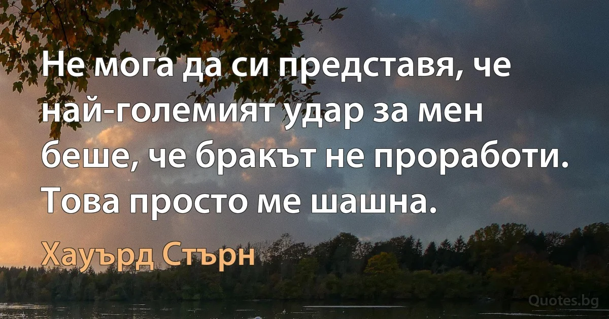 Не мога да си представя, че най-големият удар за мен беше, че бракът не проработи. Това просто ме шашна. (Хауърд Стърн)