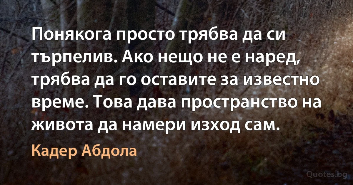 Понякога просто трябва да си търпелив. Ако нещо не е наред, трябва да го оставите за известно време. Това дава пространство на живота да намери изход сам. (Кадер Абдола)