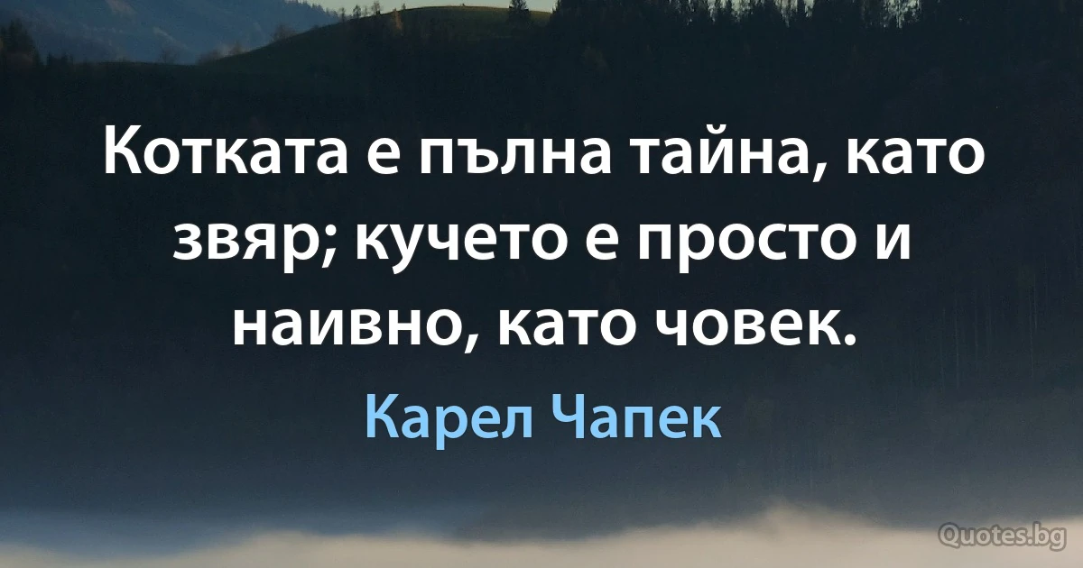 Котката е пълна тайна, като звяр; кучето е просто и наивно, като човек. (Карел Чапек)