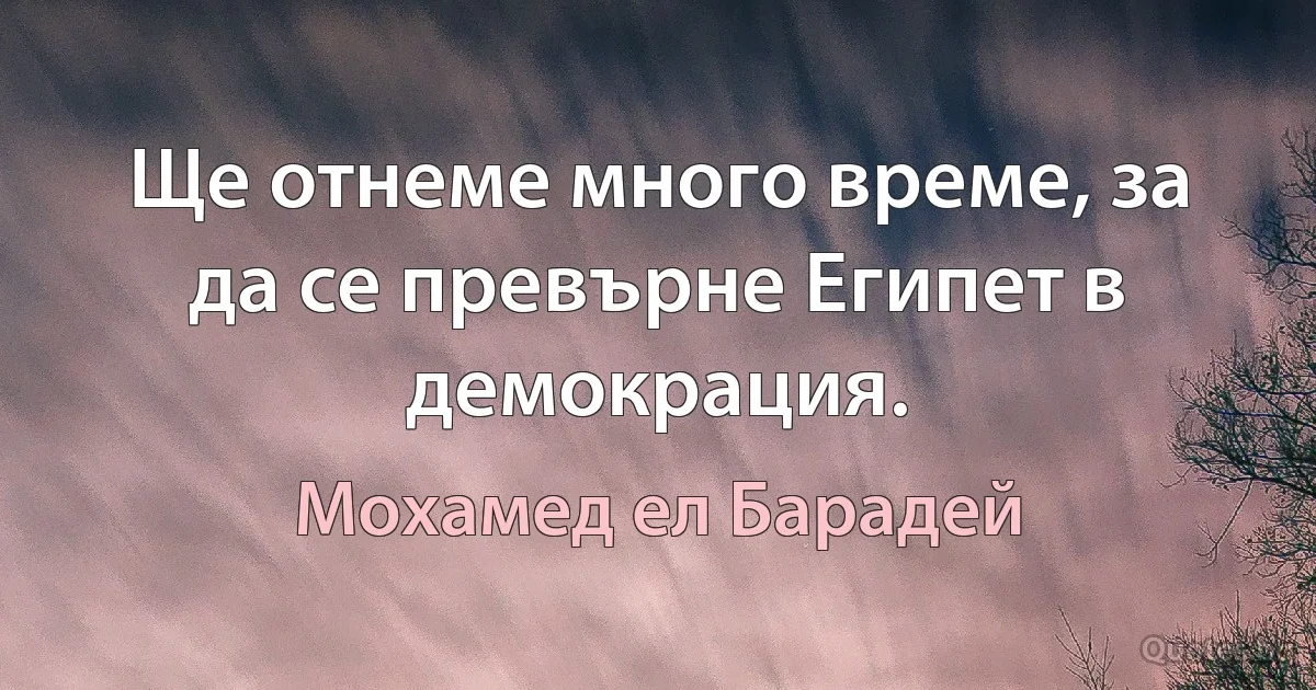 Ще отнеме много време, за да се превърне Египет в демокрация. (Мохамед ел Барадей)