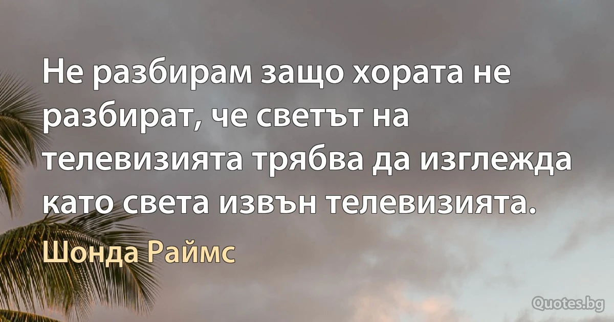 Не разбирам защо хората не разбират, че светът на телевизията трябва да изглежда като света извън телевизията. (Шонда Раймс)