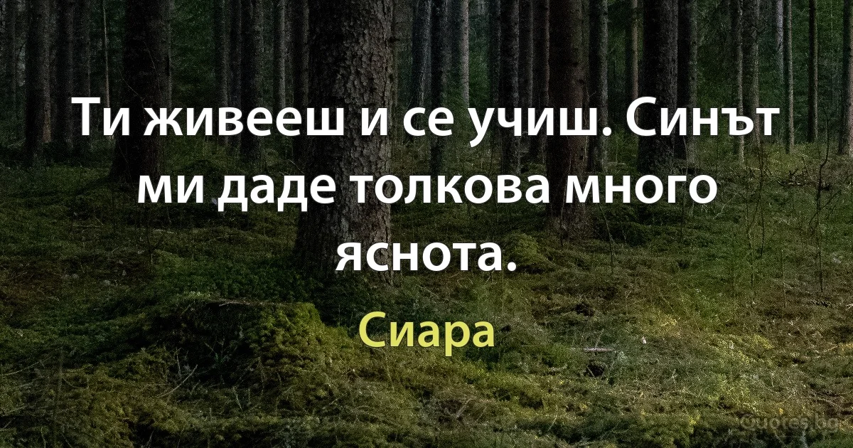 Ти живееш и се учиш. Синът ми даде толкова много яснота. (Сиара)