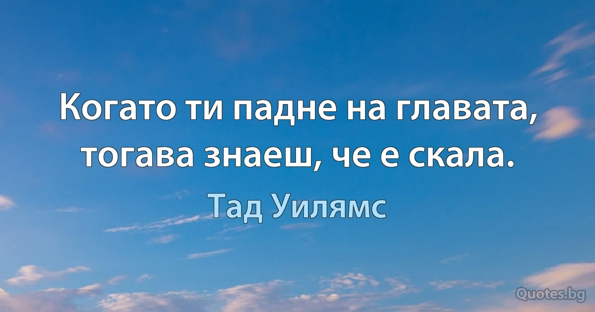 Когато ти падне на главата, тогава знаеш, че е скала. (Тад Уилямс)