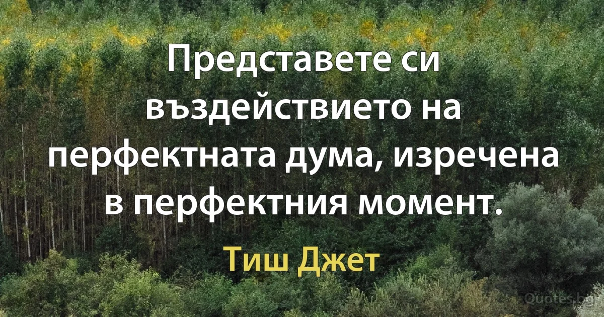 Представете си въздействието на перфектната дума, изречена в перфектния момент. (Тиш Джет)