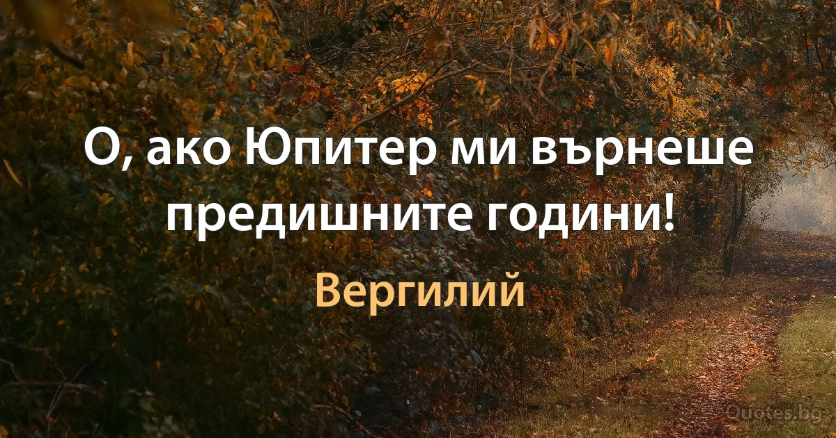 О, ако Юпитер ми върнеше предишните години! (Вергилий)