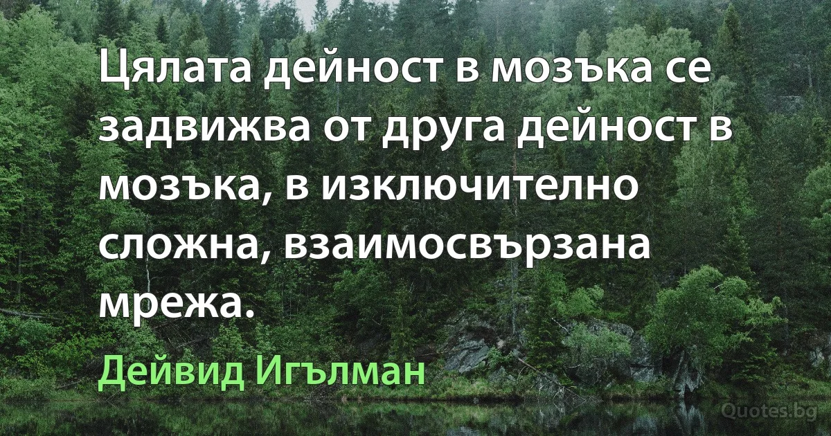 Цялата дейност в мозъка се задвижва от друга дейност в мозъка, в изключително сложна, взаимосвързана мрежа. (Дейвид Игълман)