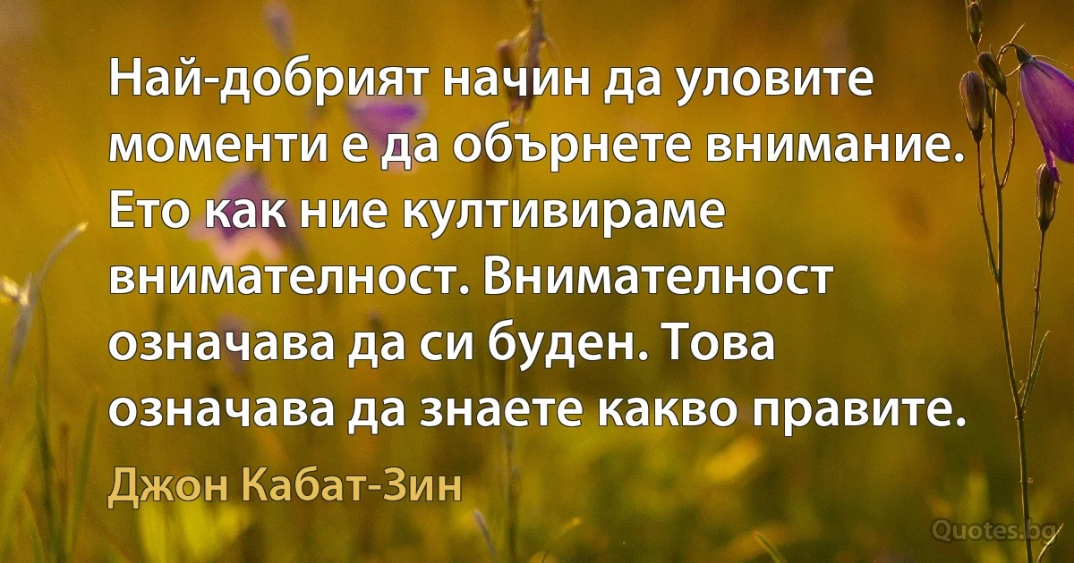 Най-добрият начин да уловите моменти е да обърнете внимание. Ето как ние култивираме внимателност. Внимателност означава да си буден. Това означава да знаете какво правите. (Джон Кабат-Зин)