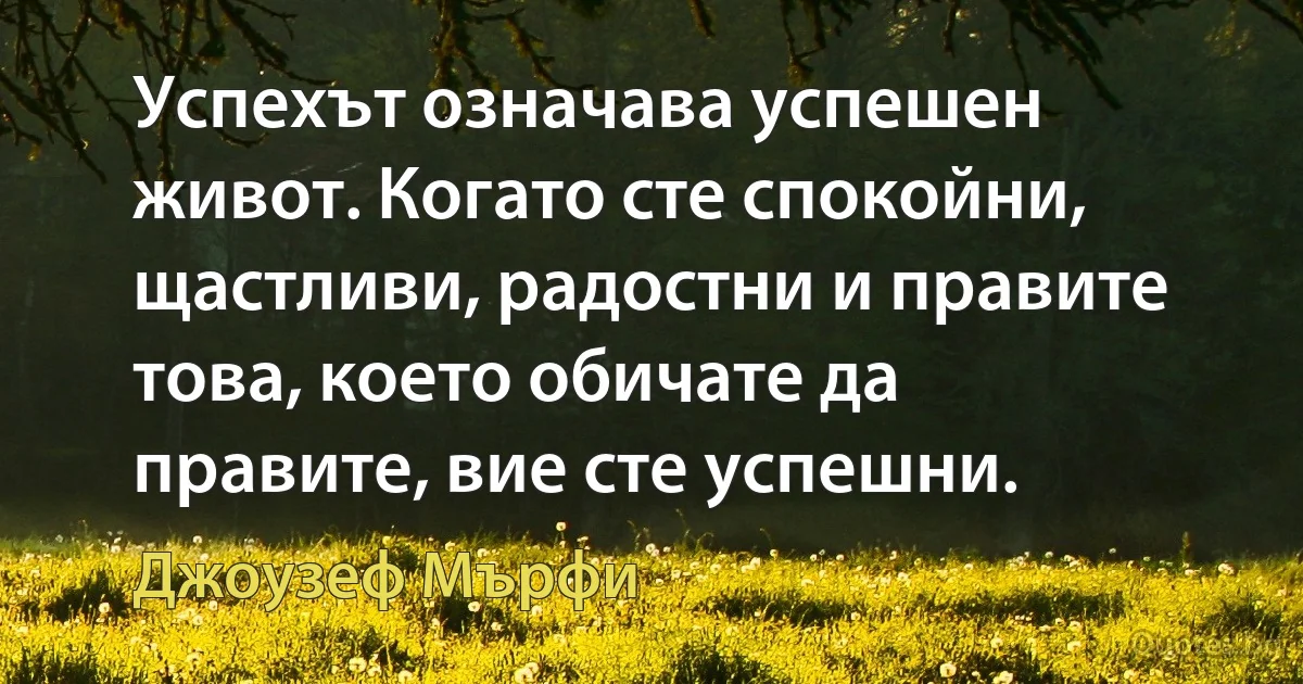 Успехът означава успешен живот. Когато сте спокойни, щастливи, радостни и правите това, което обичате да правите, вие сте успешни. (Джоузеф Мърфи)