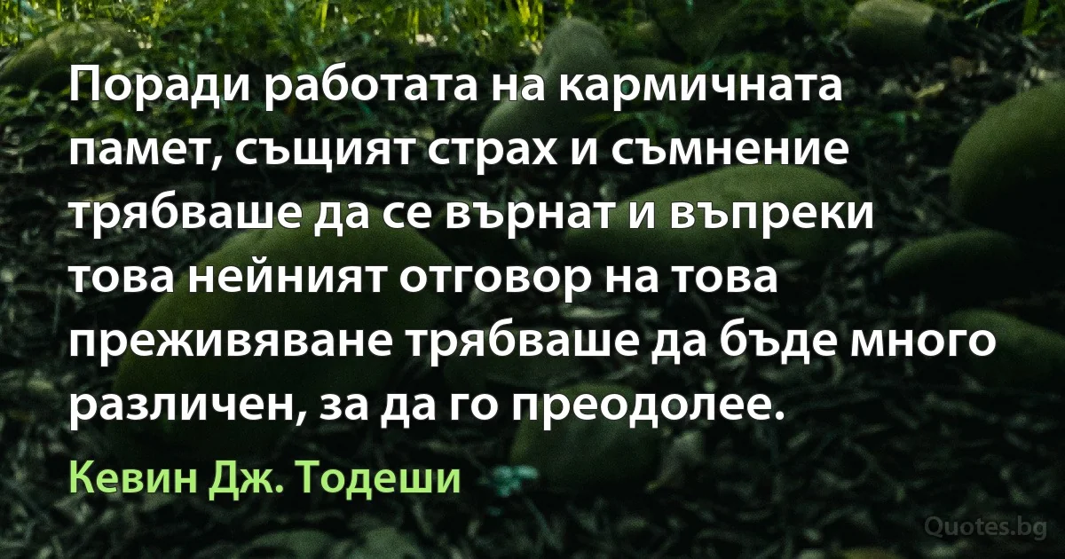 Поради работата на кармичната памет, същият страх и съмнение трябваше да се върнат и въпреки това нейният отговор на това преживяване трябваше да бъде много различен, за да го преодолее. (Кевин Дж. Тодеши)