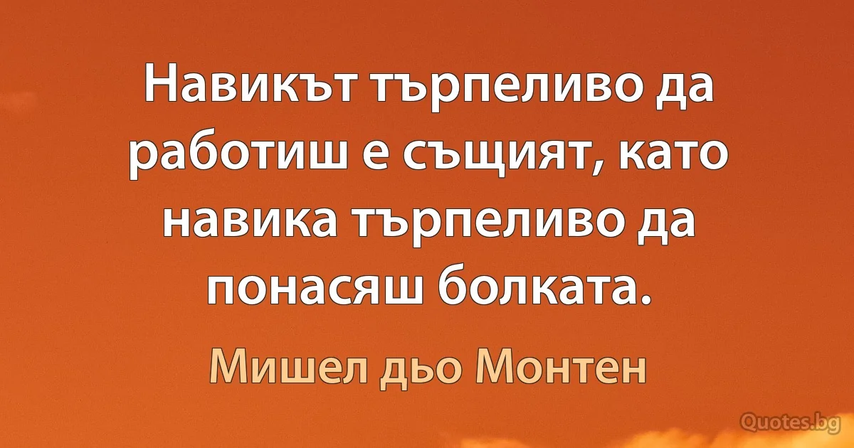 Навикът търпеливо да работиш е същият, като навика търпеливо да понасяш болката. (Мишел дьо Монтен)