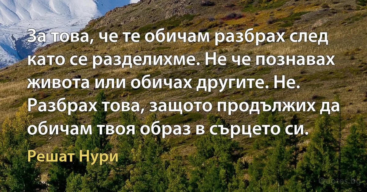 За това, че те обичам разбрах след като се разделихме. Не че познавах живота или обичах другите. Не. Разбрах това, защото продължих да обичам твоя образ в сърцето си. (Решат Нури)