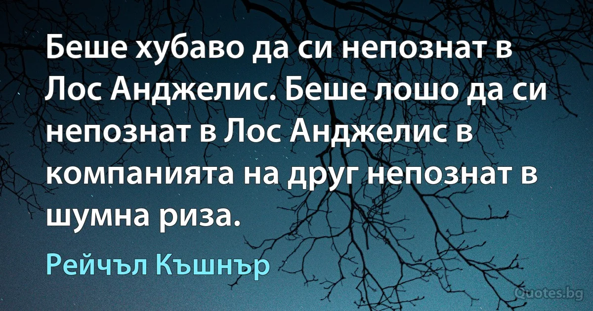 Беше хубаво да си непознат в Лос Анджелис. Беше лошо да си непознат в Лос Анджелис в компанията на друг непознат в шумна риза. (Рейчъл Къшнър)